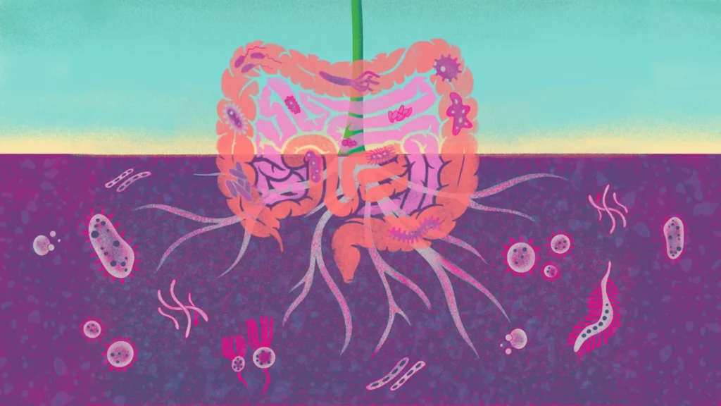 WMP OHsummit Tanikawa banniere