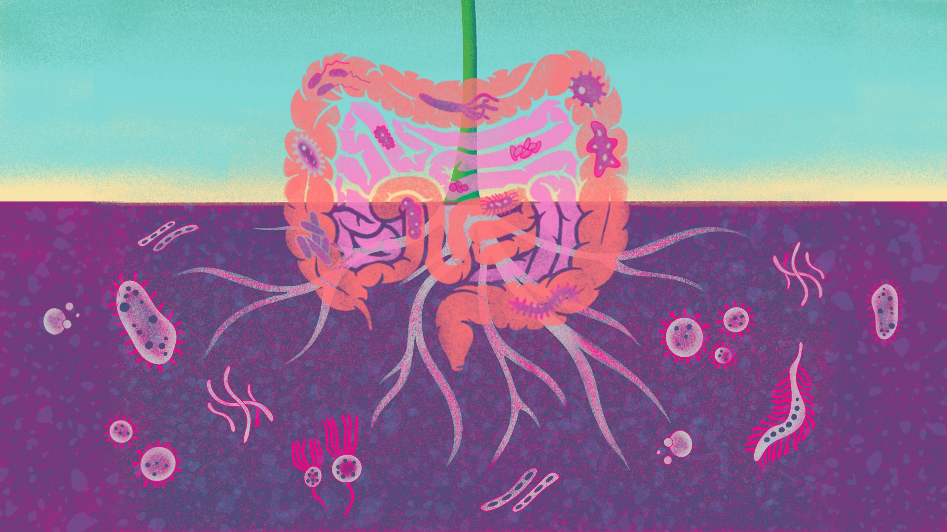 Microbiomes at the Heart of One Health: From Soil to Plate and Beyond